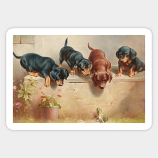 Curious Dachshund Puppies and a Frog by Carl Reichert Sticker